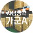 가군A